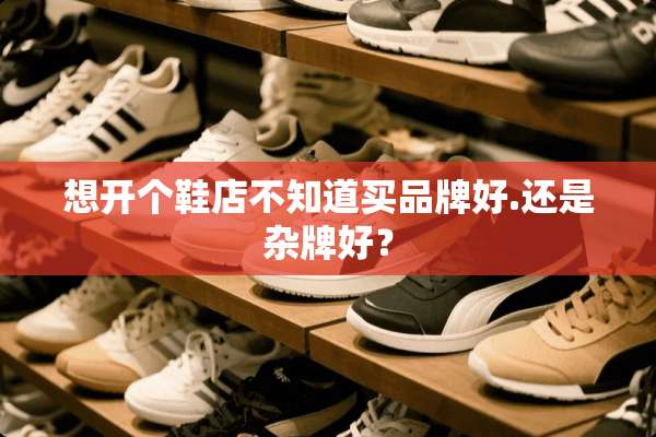 想开个鞋店不知道买品牌好.还是杂牌好？