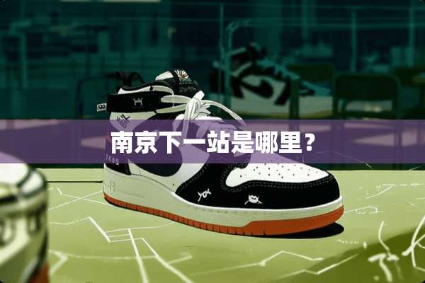 南京下一站是哪里？