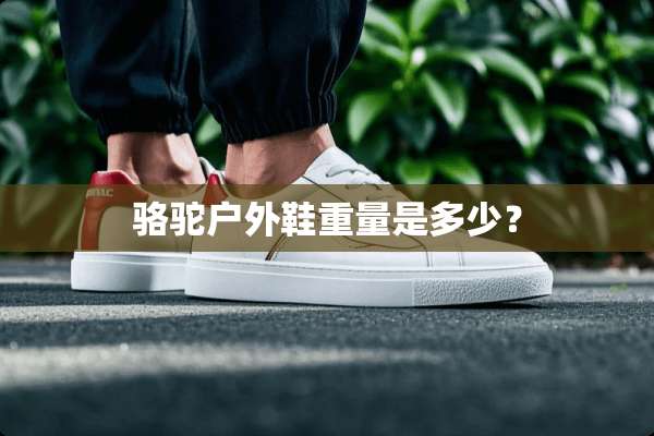骆驼户外鞋重量是多少？