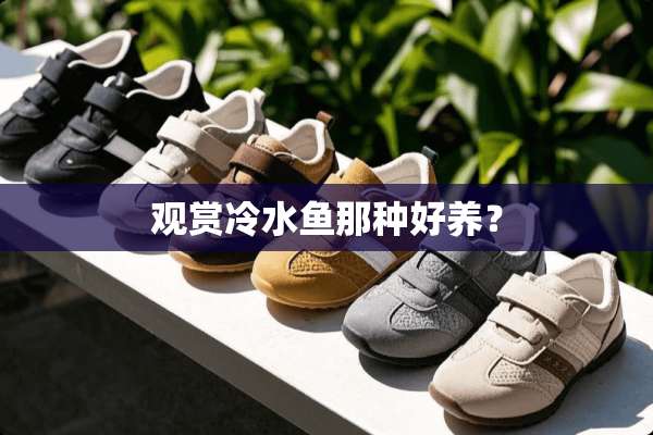 观赏冷水鱼那种好养？