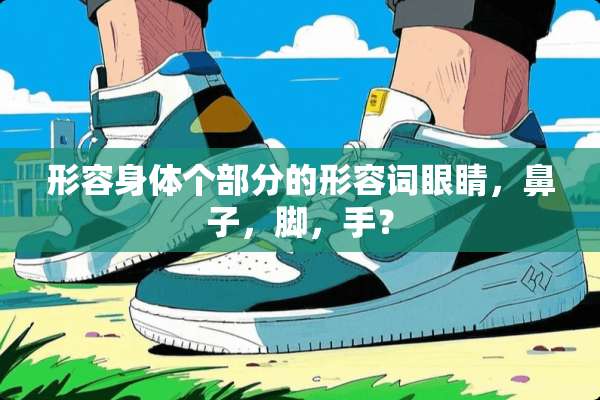 形容身体个部分的形容词眼睛，鼻子，脚，手？