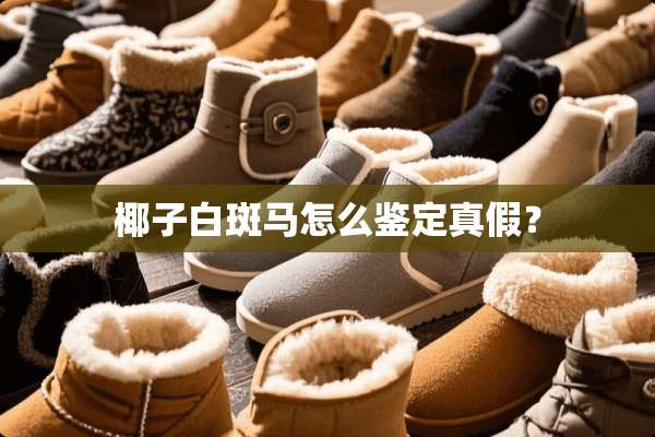 椰子白斑马怎么鉴定真假？