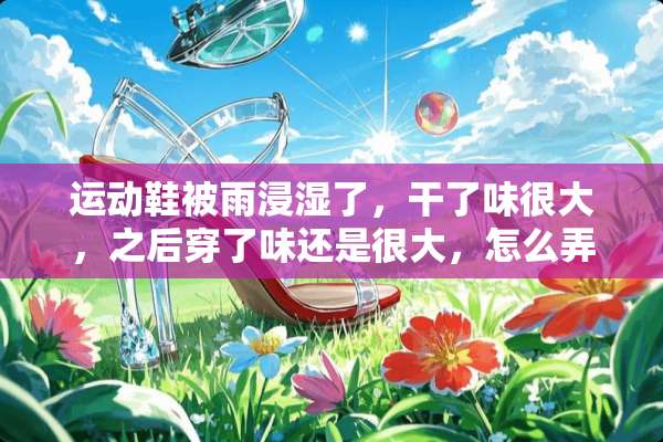 运动鞋被雨浸湿了，干了味很大，之后穿了味还是很大，怎么弄？