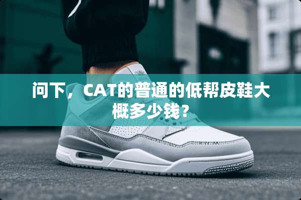 问下，CAT的普通的低帮皮鞋大概多少钱？