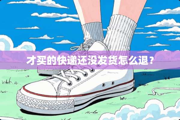 才买的快递还没发货怎么退？