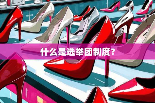 什么是选举团制度？