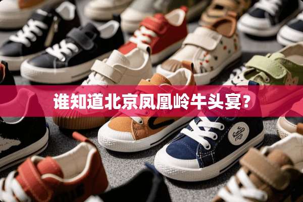谁知道北京凤凰岭牛头宴？