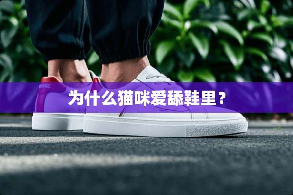 为什么猫咪爱舔鞋里？