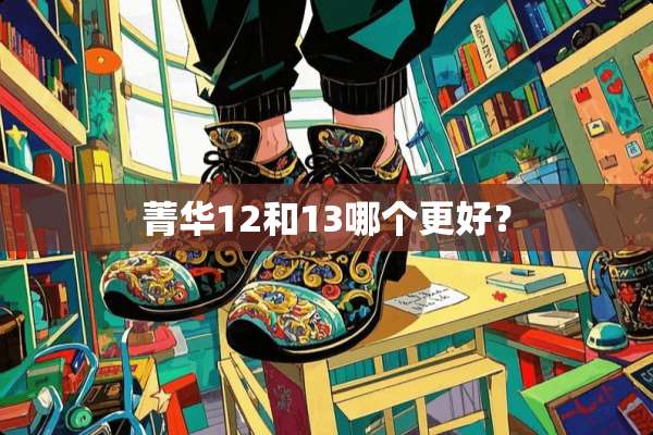 菁华12和13哪个更好？