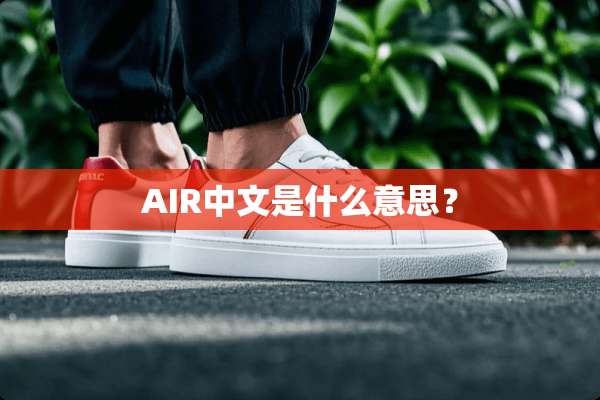 AIR中文是什么意思？