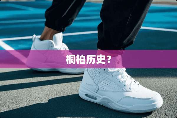 桐柏历史？