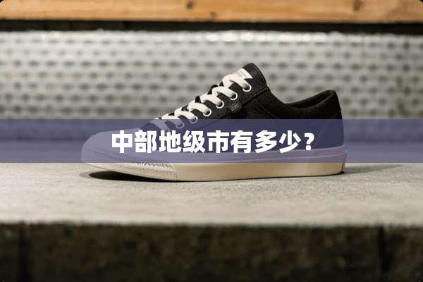 中部地级市有多少？