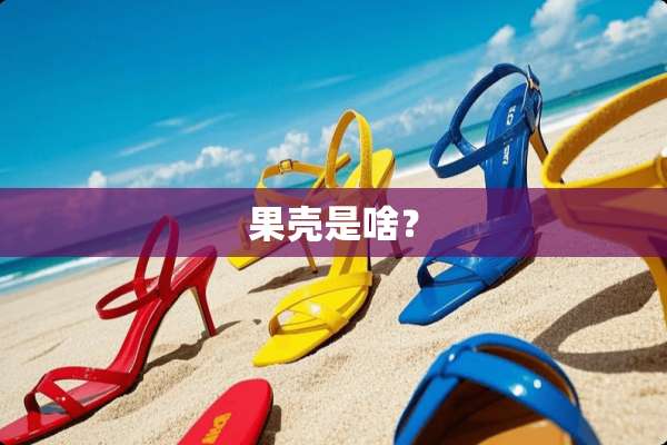 果壳是啥？