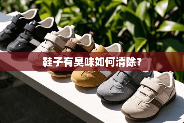 鞋子有臭味如何清除？