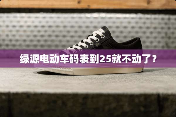 绿源电动车码表到25就不动了？