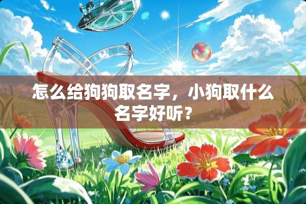 怎么给狗狗取名字，小狗取什么名字好听？