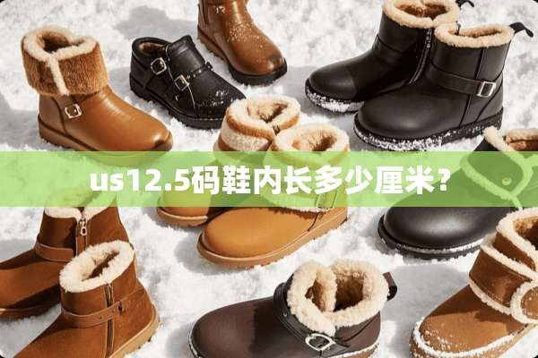 us12.5码鞋内长多少厘米？