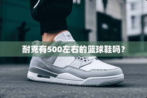 耐克有500左右的篮球鞋吗？