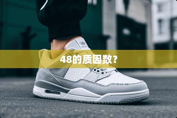 48的质因数？