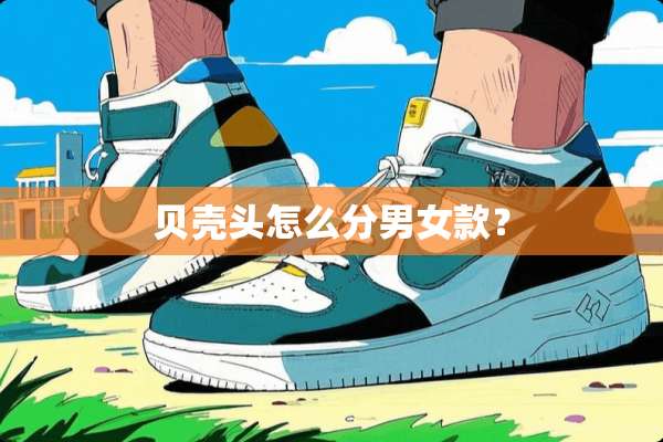 贝壳头怎么分男女款？