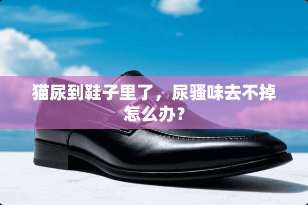 猫尿到鞋子里了，尿*味去不掉怎么办？