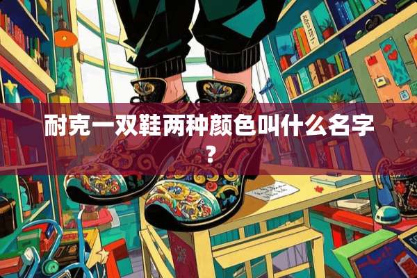 耐克一双鞋两种颜色叫什么名字？