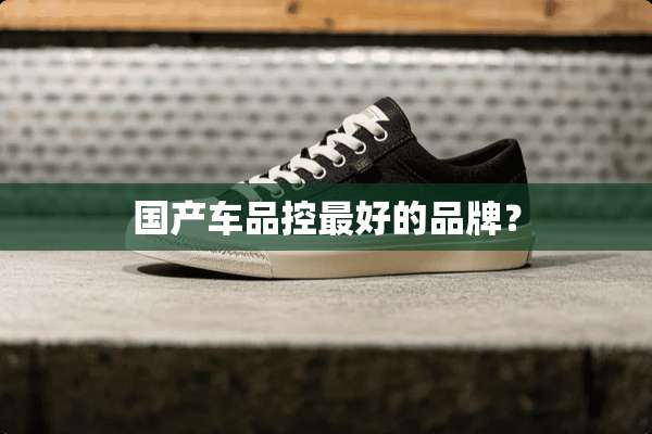 国产车品控最好的品牌？