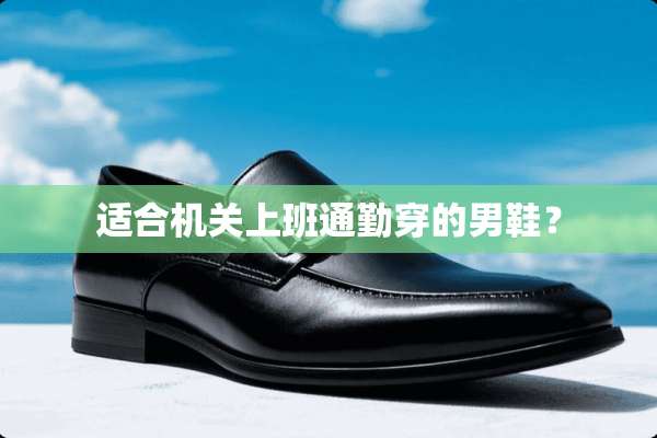 适合机关上班通勤穿的男鞋？