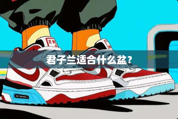 君子兰适合什么盆？