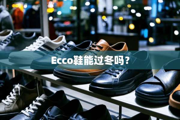 Ecco鞋能过冬吗？