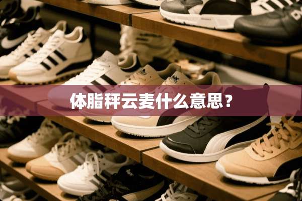 体脂秤云麦什么意思？