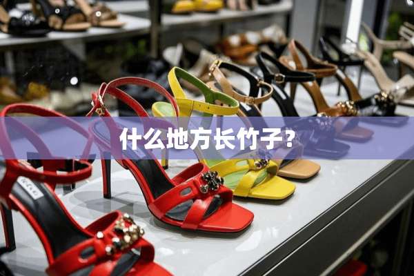 什么地方长竹子？