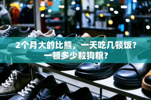 2个月大的比熊，一天吃几顿饭？一顿多少粒狗粮？