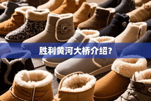 胜利黄河大桥介绍？