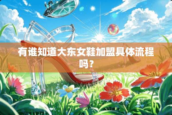 有谁知道大东女鞋加盟具体流程吗？