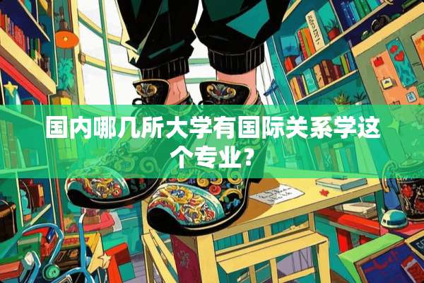 国内哪几所大学有国际关系学这个专业？