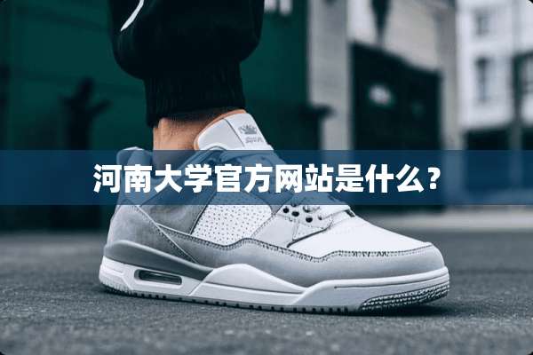 河南大学官方网站是什么？