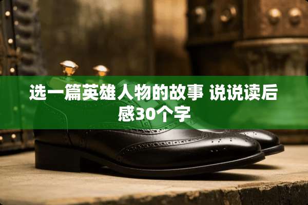 选一篇英雄人物的故事 说说读后感30个字