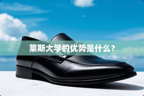 莱斯大学的优势是什么？
