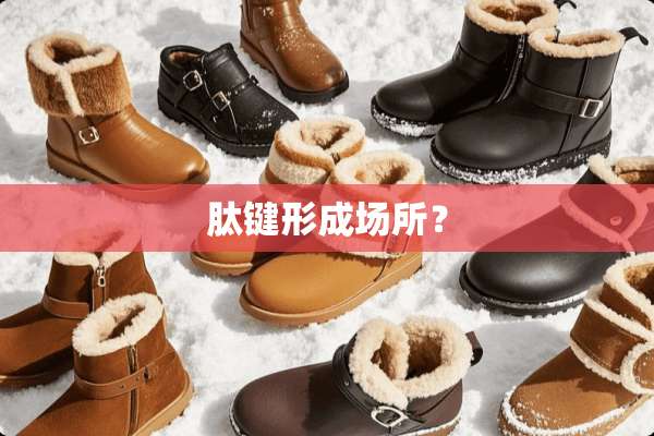 肽键形成场所？