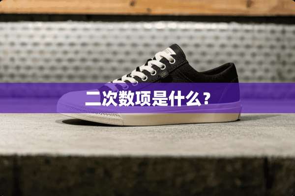 二次数项是什么？