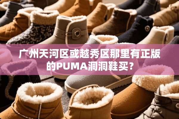 广州天河区或越秀区那里有正版的PUMA洞洞鞋买？