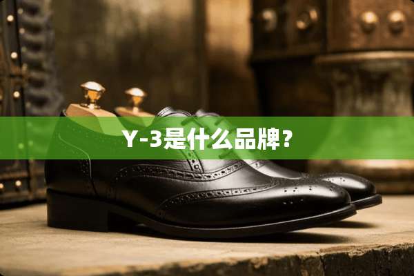 Y-3是什么品牌？