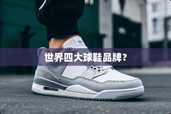 世界四大球鞋品牌？