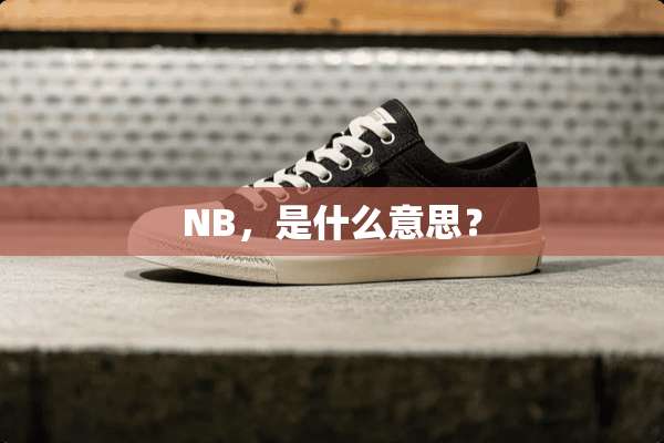 NB，是什么意思？