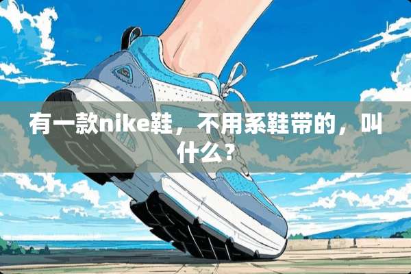 有一款nike鞋，不用系鞋带的，叫什么？