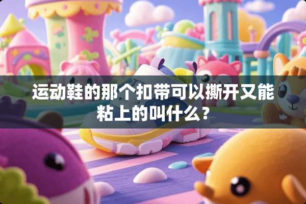 运动鞋的那个扣带可以撕开又能粘上的叫什么？