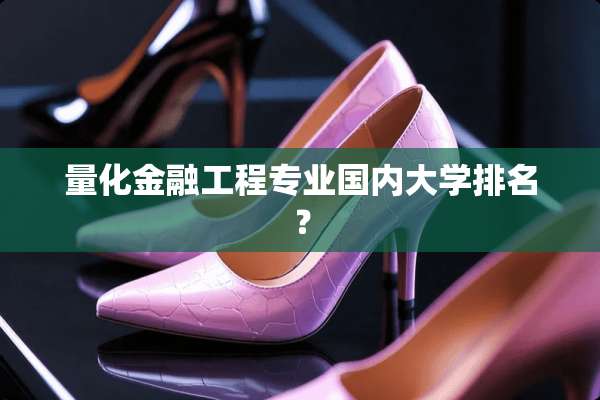 量化金融工程专业国内大学排名？