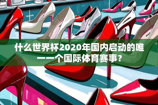 什么世界杯2020年国内启动的唯一一个国际体育赛事？
