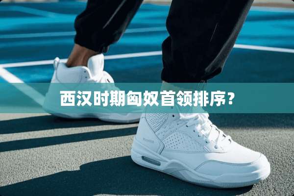 西汉时期匈*首领排序？